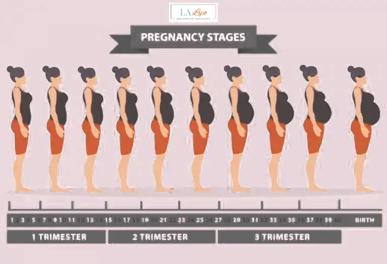 First Trimester (Weeks 1–12): Early Changes You Might Not Notice Hampton Hill